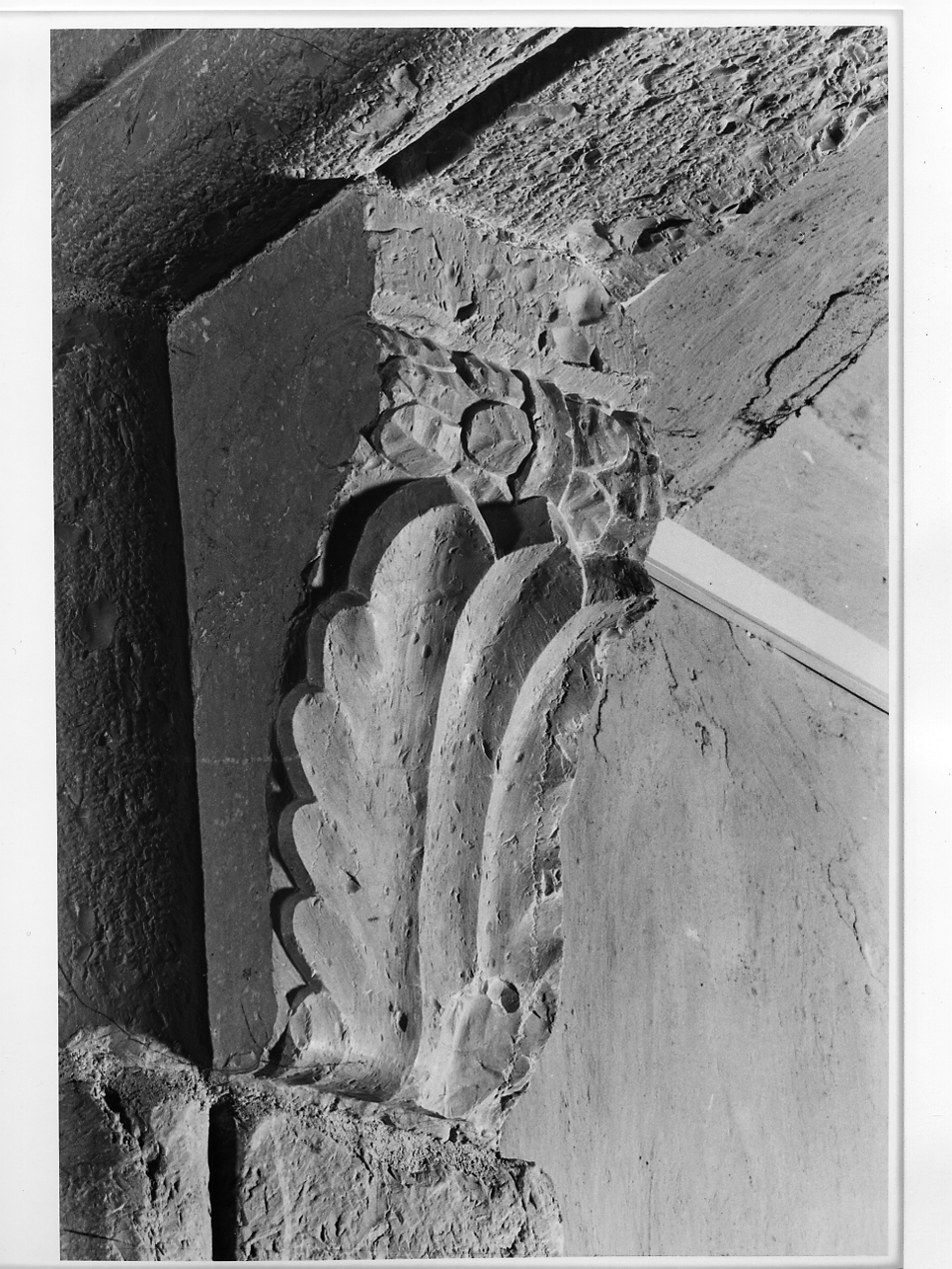 decorazione plastica, elemento d'insieme - ambito lombardo (metà sec. XV)