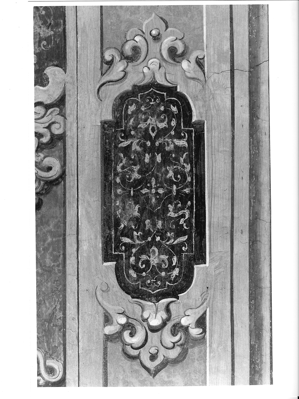 motivi decorativi vegetali (dipinto, elemento d'insieme) di Inchiocco Giovanni Giacomo detto Barbello (e aiuti) (sec. XVII)