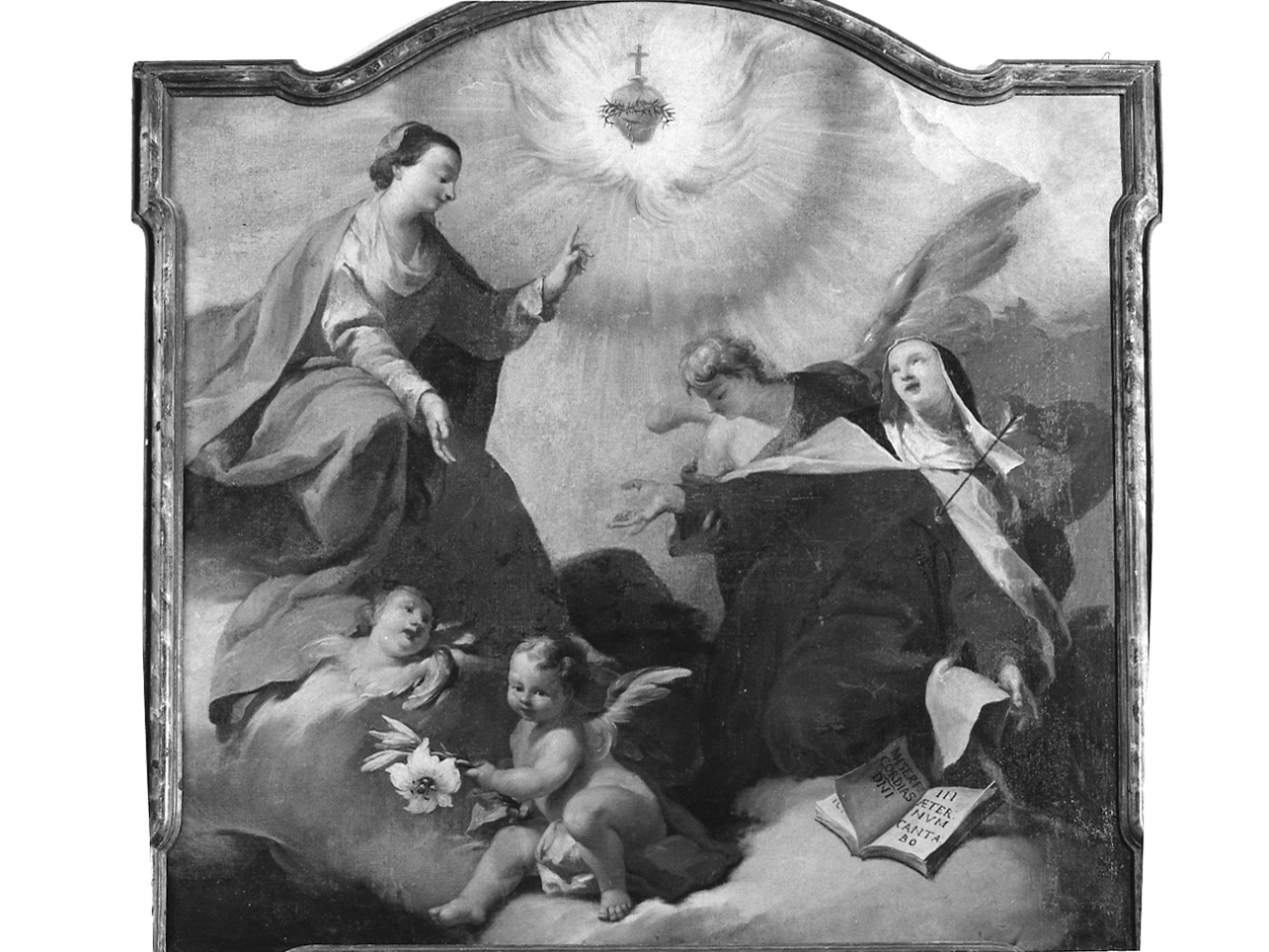 estasi di Santa Teresa d'Avila (dipinto, elemento d'insieme) di Sassi Giovanni Battista (secondo quarto sec. XVIII)