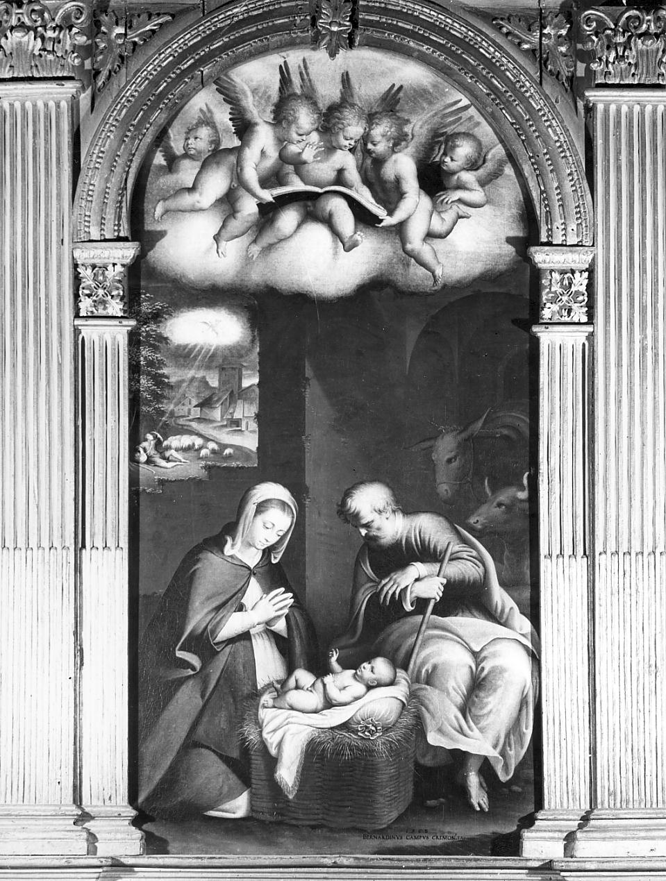 natività di Gesù (dipinto, elemento d'insieme) di Campi Bernardino (sec. XVI)