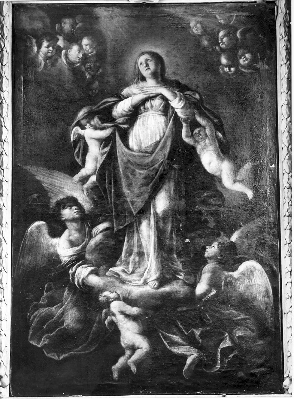 assunzione della Madonna (dipinto, opera isolata) di Natali Giovanni Battista (sec. XVII)