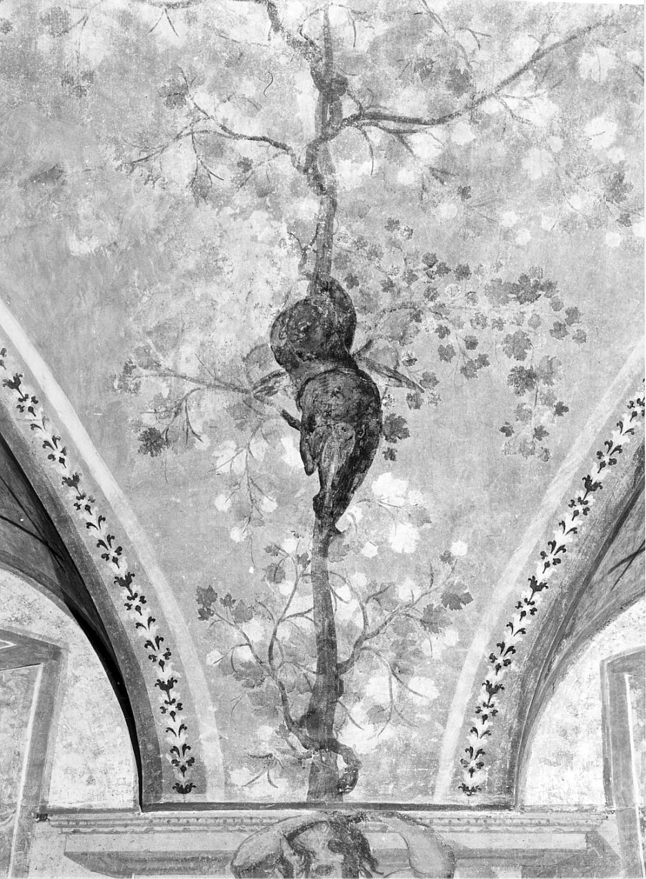 motivi decorativi (decorazione pittorica, elemento d'insieme) - ambito mantovano (fine sec. XVI)