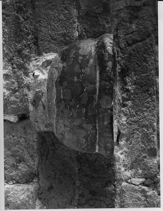 acquasantiera da parete, opera isolata - ambito mantovano (sec. XVIII)