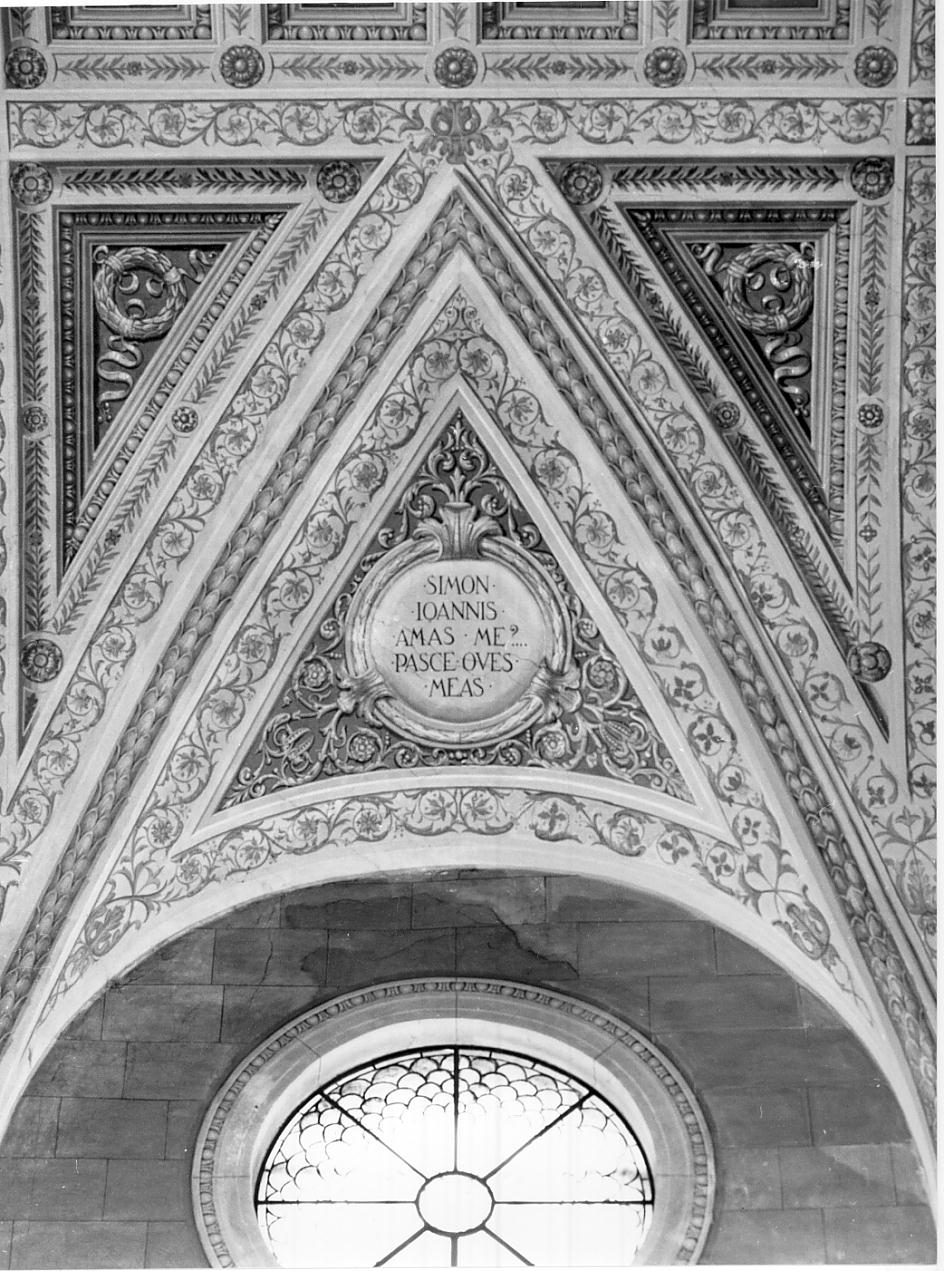 racemi, rosette, foglie d'acanto e tondi (dipinto, elemento d'insieme) di Miolato Gaetano (sec. XX)