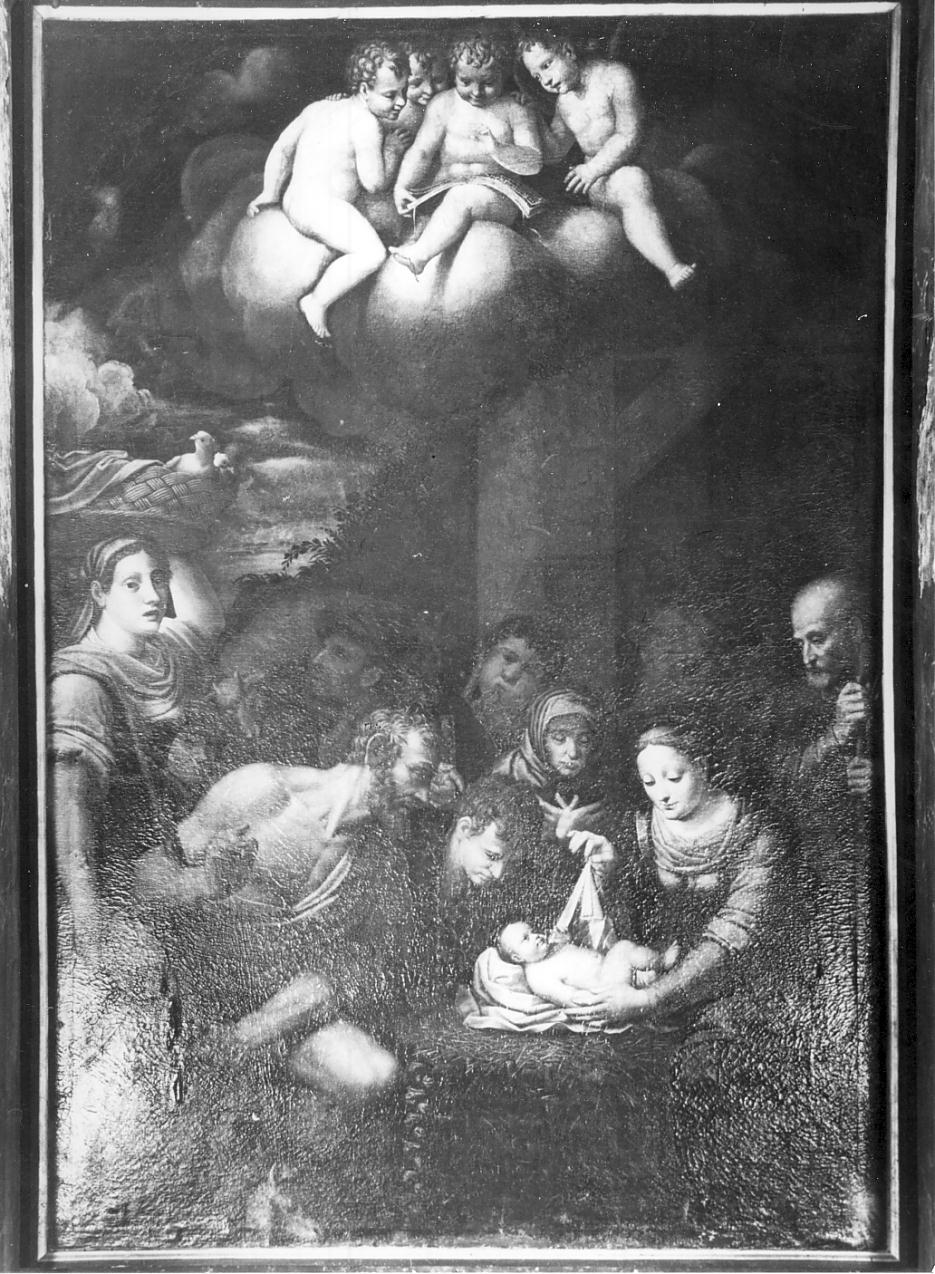 natività di Gesù (dipinto, opera isolata) di Gatti Gervasio detto Soiaro (sec. XVI)