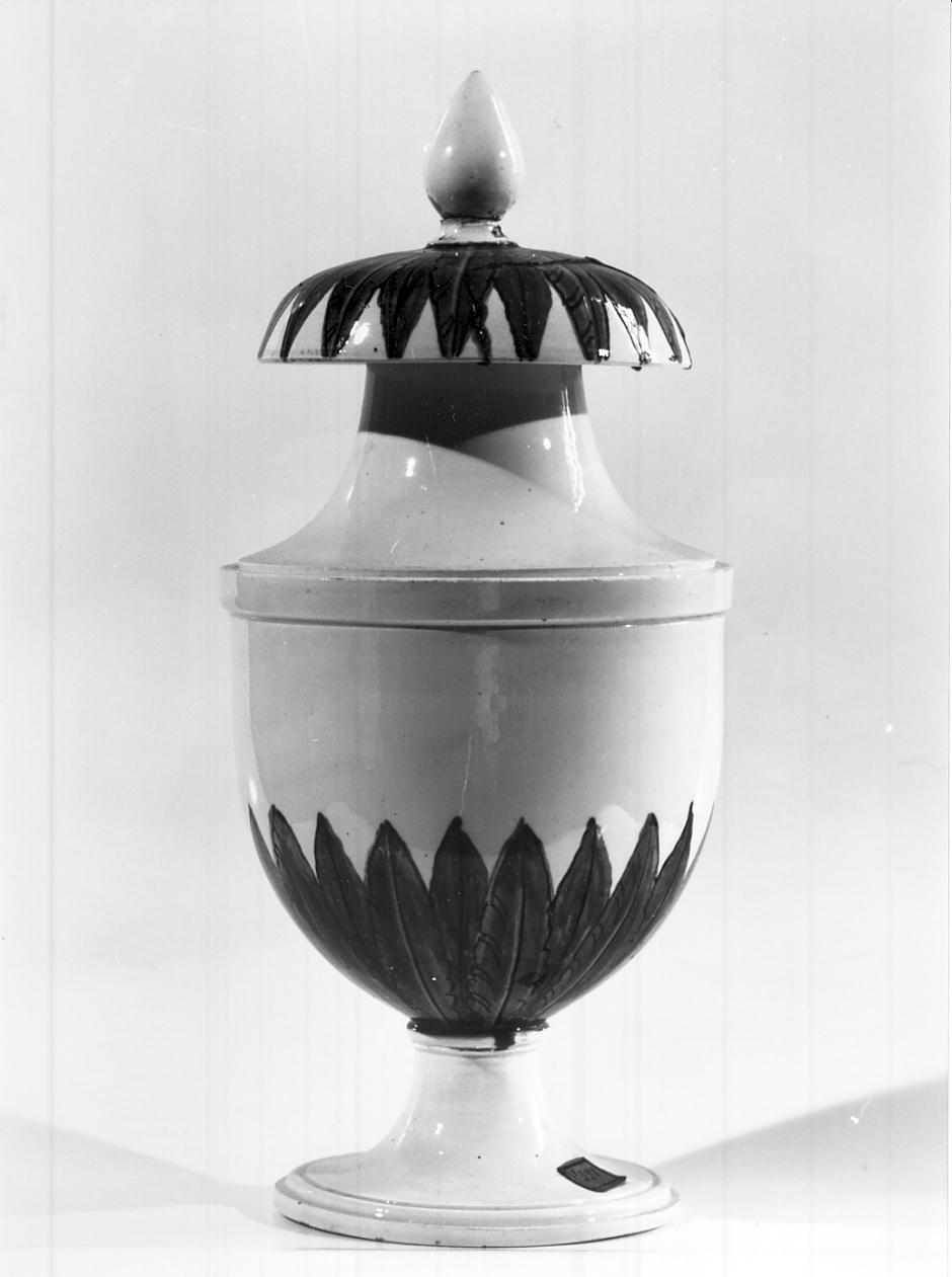 motivi decorativi a foglie (vaso da farmacia, opera isolata) - manifattura italiana (fine/inizio secc. XVIII/ XIX)