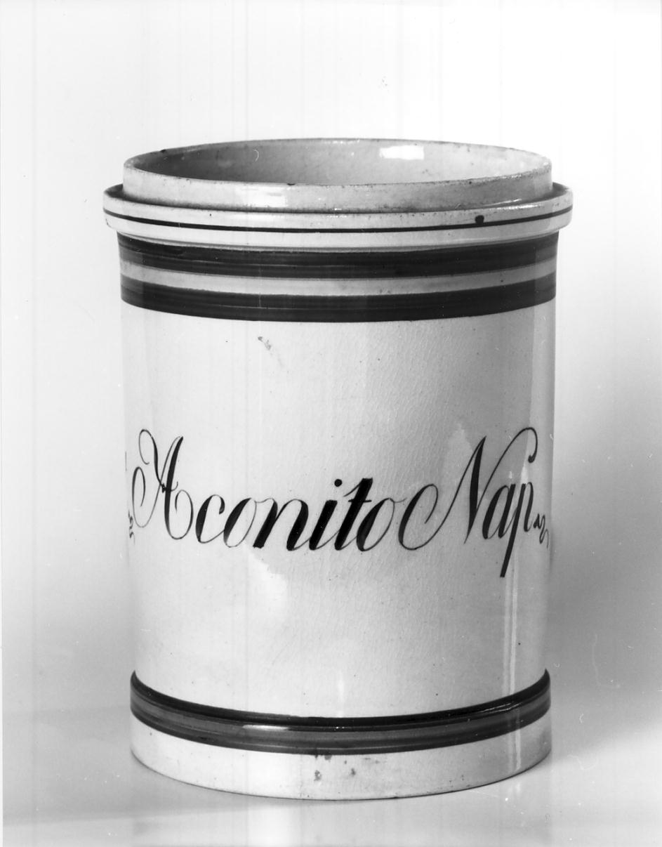 vaso da farmacia, opera isolata - manifattura italiana (sec. XIX)