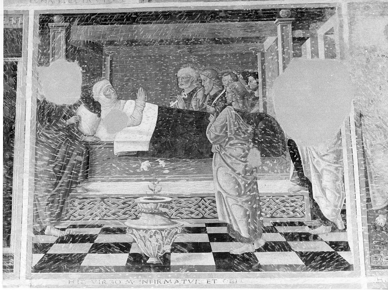 storie della vita di Maria Vergine (dipinto, ciclo) - ambito lombardo (seconda metà sec. XV)