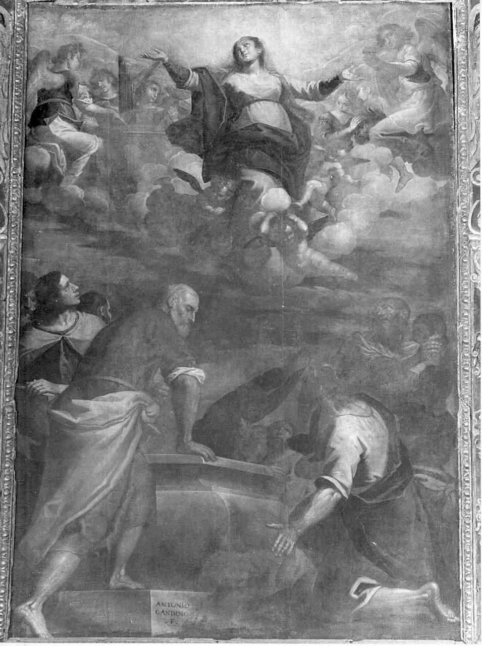 Madonna Assunta (pala d'altare, elemento d'insieme) di Gandino Antonio (fine/inizio secc. XVI/ XVII)