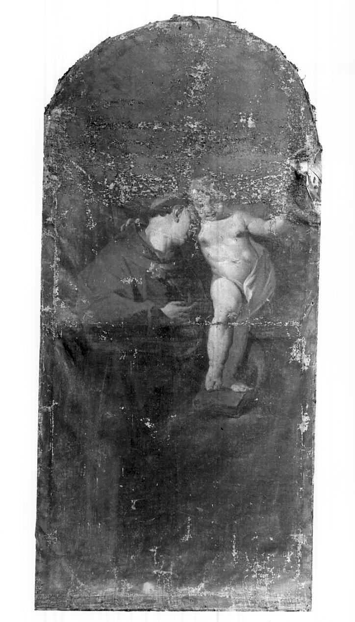 Sant'Antonio da Padova col Bambino Gesù (dipinto, opera isolata) di Conti Domenico (attribuito) (sec. XVIII)