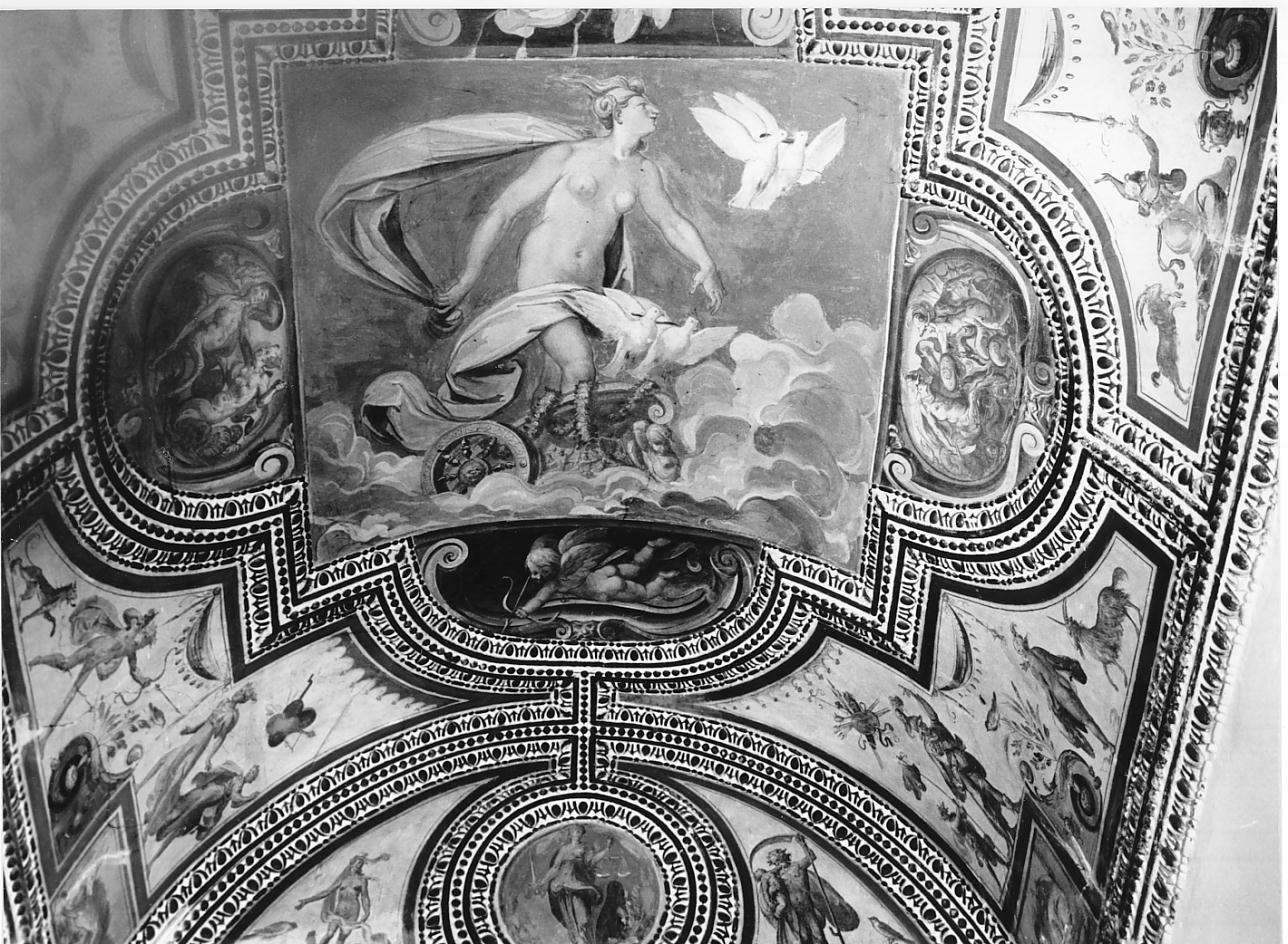 decorazione pittorica, ciclo di Campi Bernardino (attribuito), Fornaretto Mantovano (attribuito) (seconda metà sec. XVI)