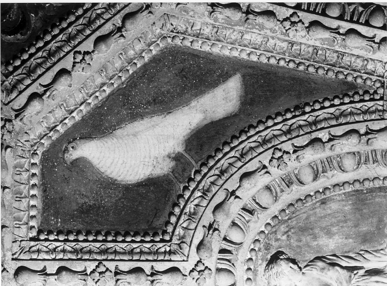 uccelli (dipinto, serie) di Campi Bernardino (attribuito) (sec. XVI)
