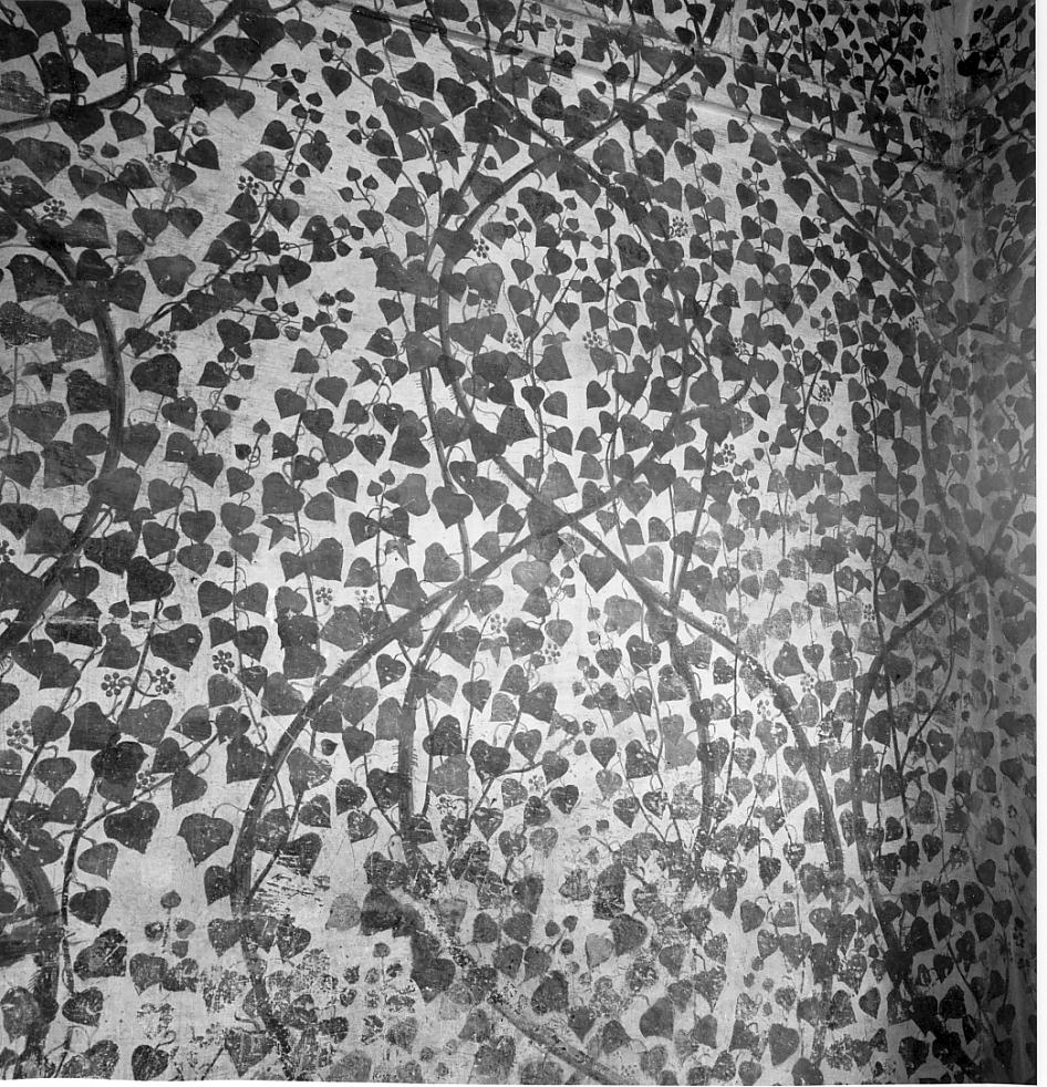 intreccio di rami e foglie d'edera (decorazione pittorica, insieme) di Campi Bernardino (cerchia) (seconda metà sec. XVI)
