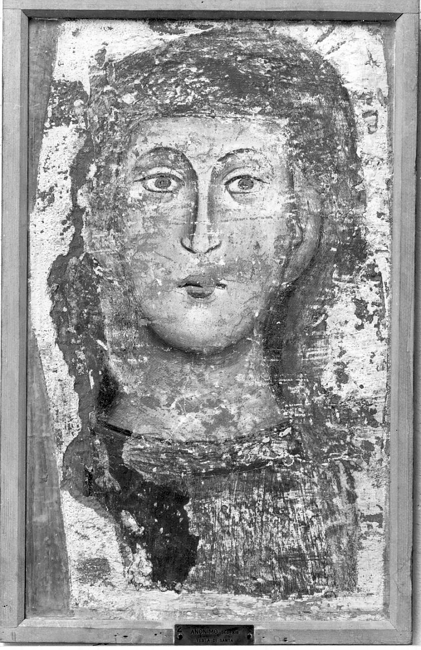 Testa di Santa (dipinto, opera isolata) - ambito italiano (sec. XIII)