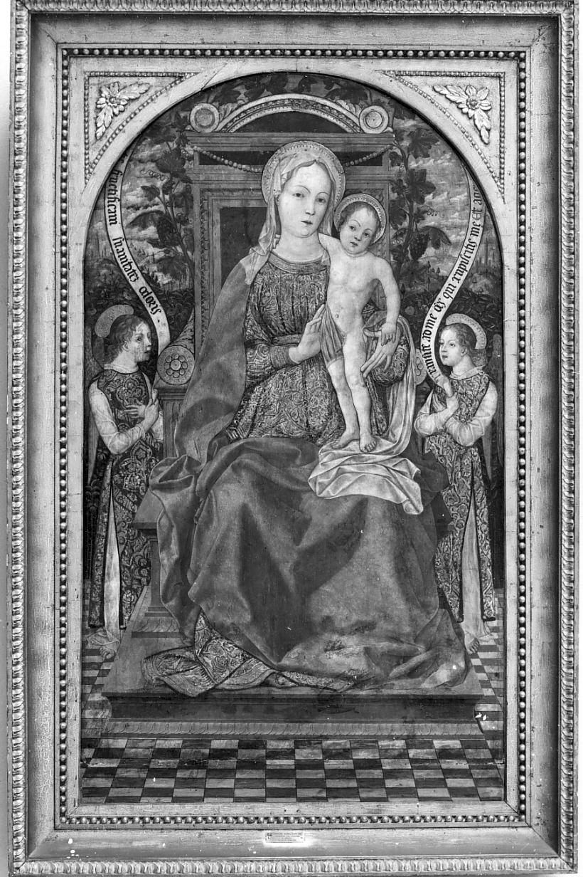Madonna con Bambino e angeli (dipinto, opera isolata) di Bembo Gerolamo (seconda metà sec. XV)