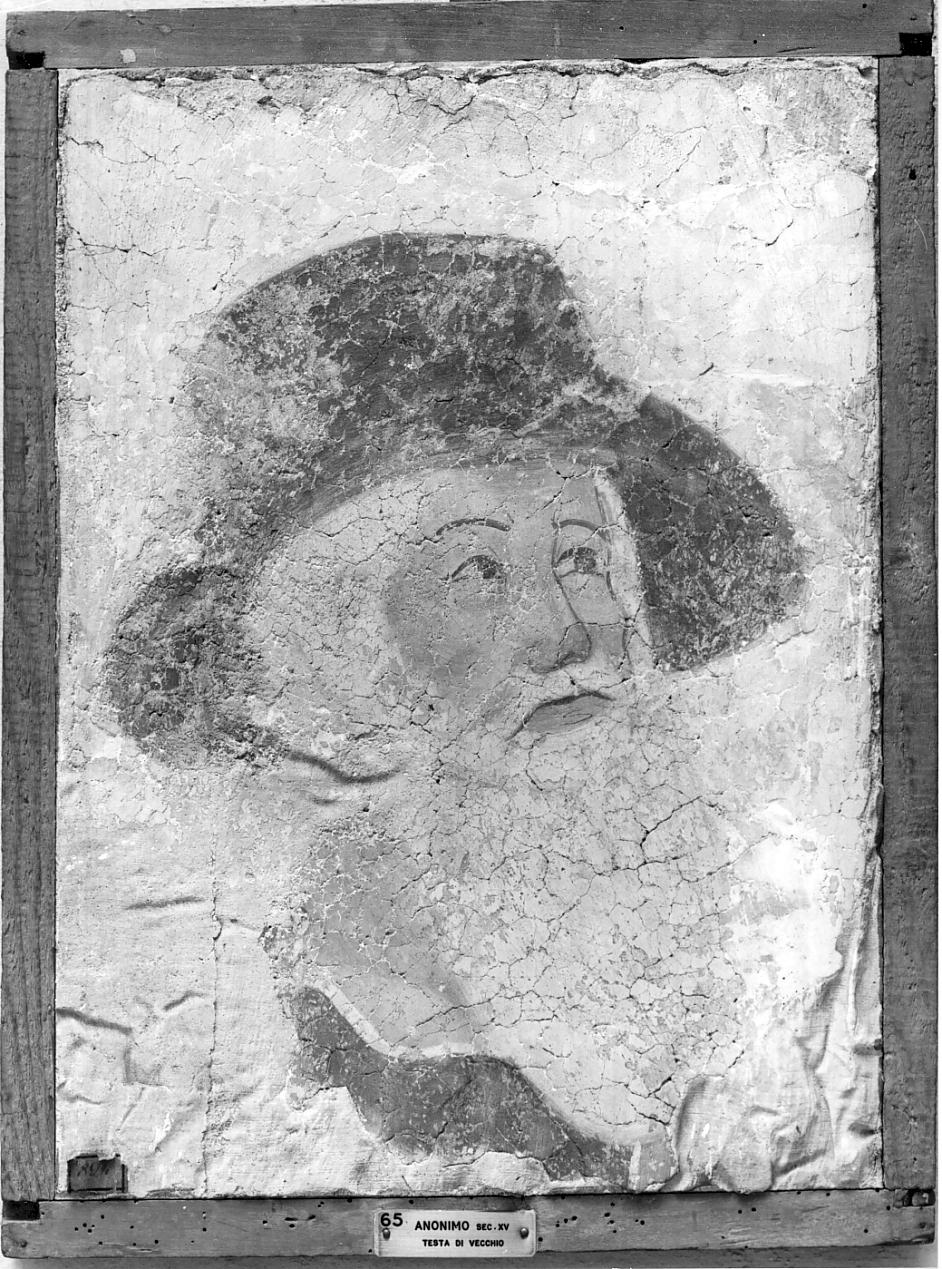 testa di vecchio (dipinto, opera isolata) - ambito italiano (sec. XV)