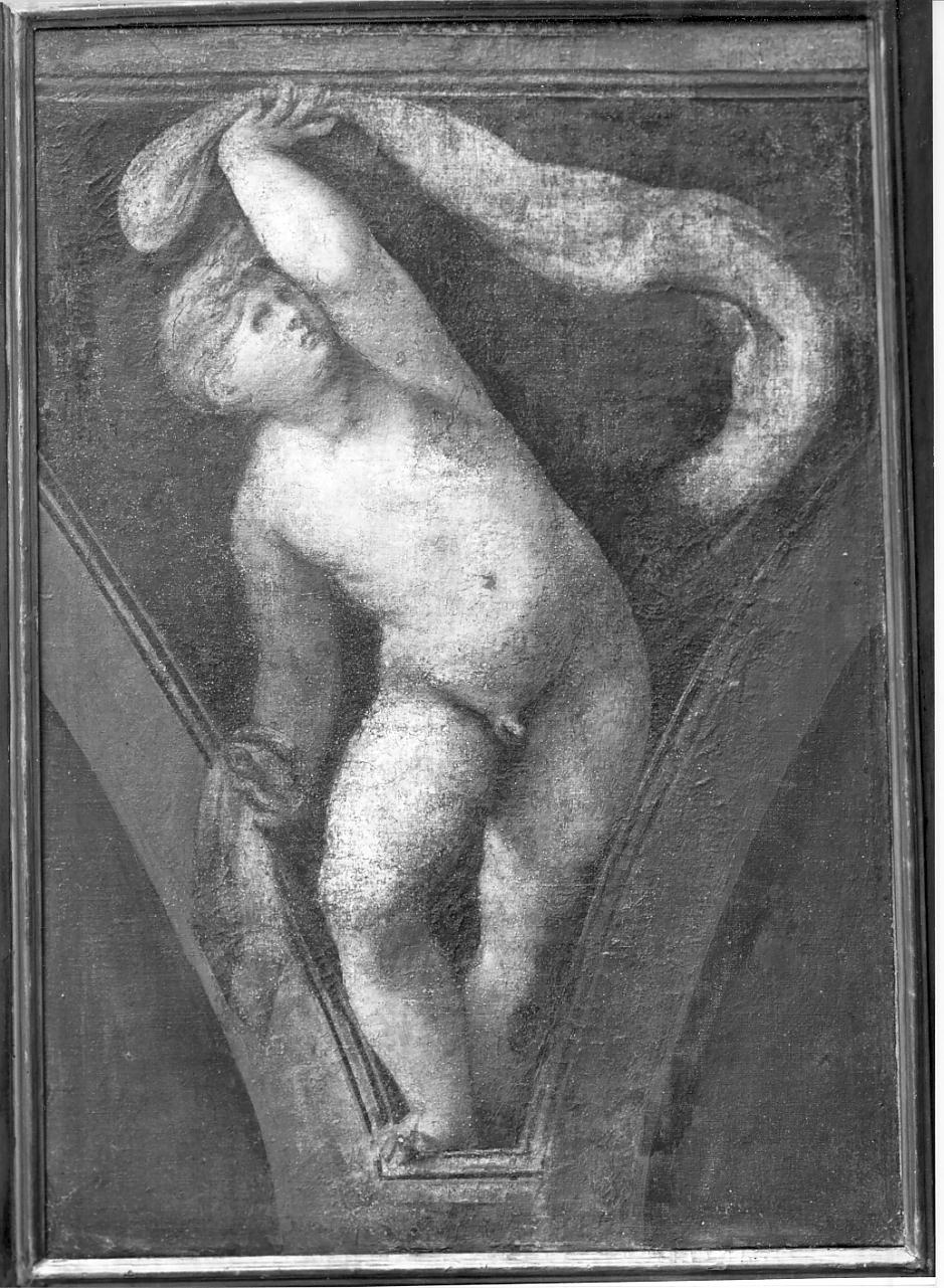 putto decorativo (dipinto, opera isolata) di Campi Giulio (prima metà sec. XVI)