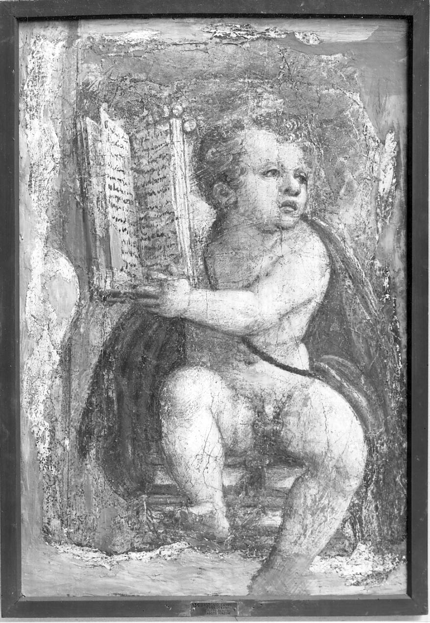 putto seduto (dipinto, opera isolata) di Campi Antonio (seconda metà sec. XVI)