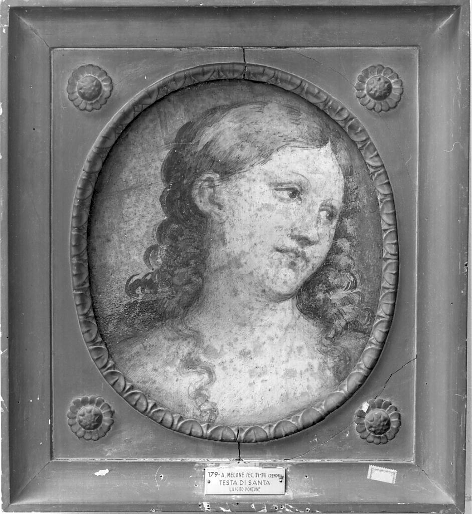 testa di Santa (dipinto, opera isolata) di Romani Girolamo detto Romanino (prima metà sec. XVI)