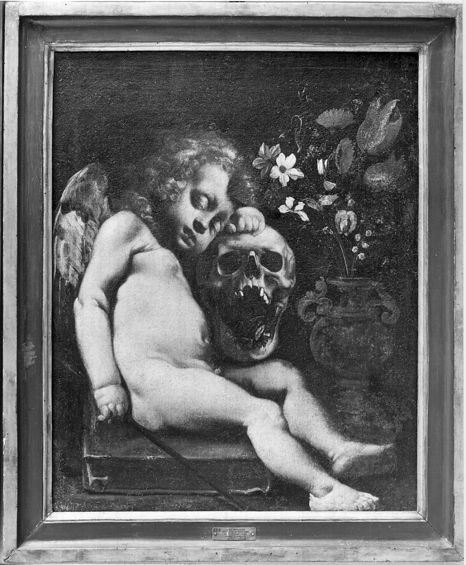 amore dormiente (dipinto, opera isolata) di Miradori Luigi detto Genovesino (sec. XVII)
