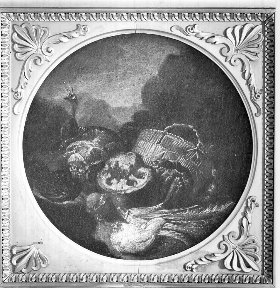 gallinacei (dipinto, opera isolata) di Crivelli Angelo Maria detto Crivellone (sec. XVIII)