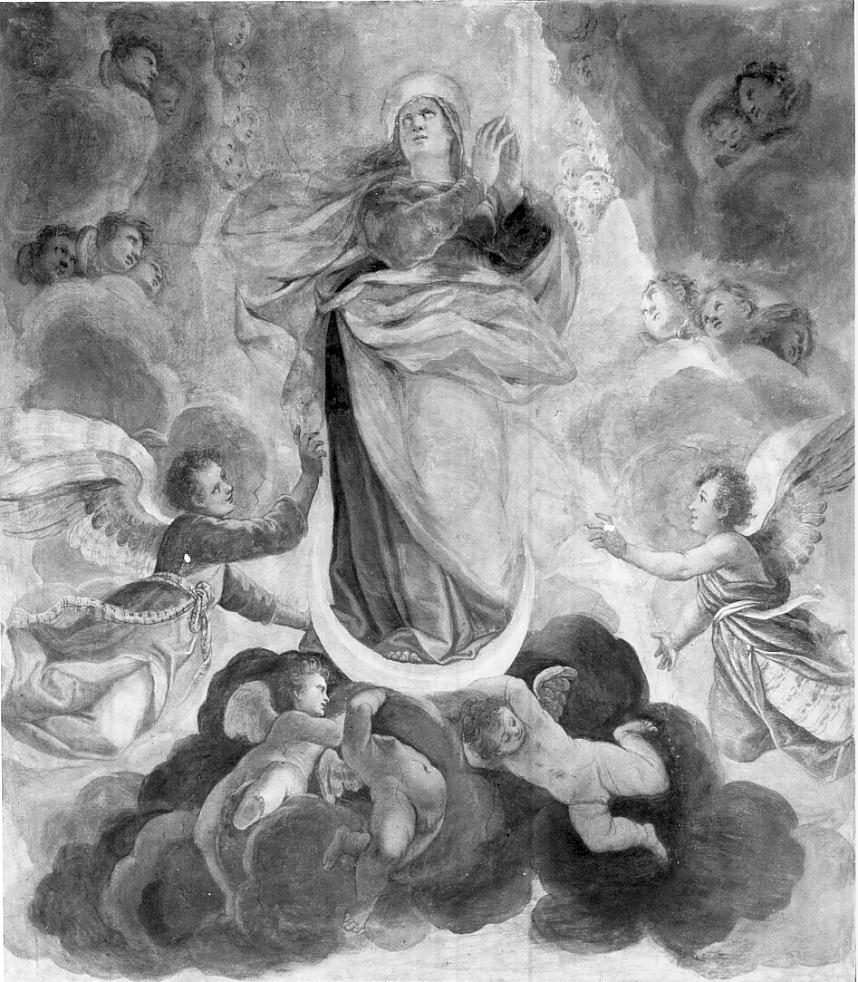 Madonna Assunta (dipinto, opera isolata) di Santner Carlo (attribuito) (prima metà sec. XVII)