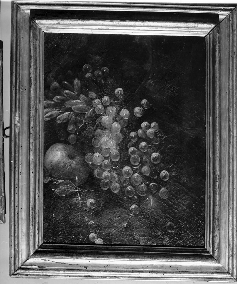 uva con frutto, natura morta (dipinto, opera isolata) - ambito lombardo (prima metà sec. XVIII)
