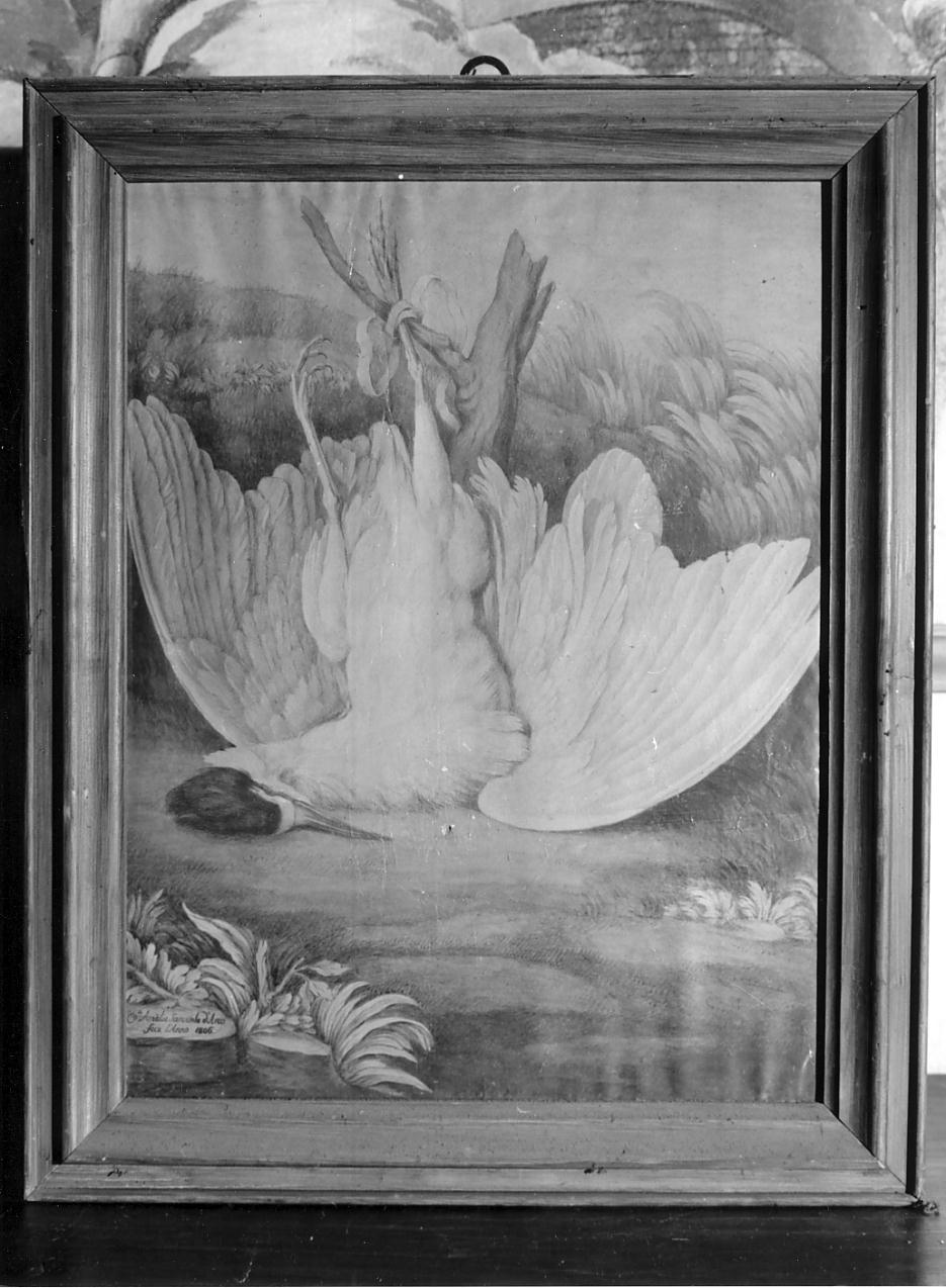 uccello, natura morta (dipinto, opera isolata) di Sanvitale Amalia (inizio sec. XIX)