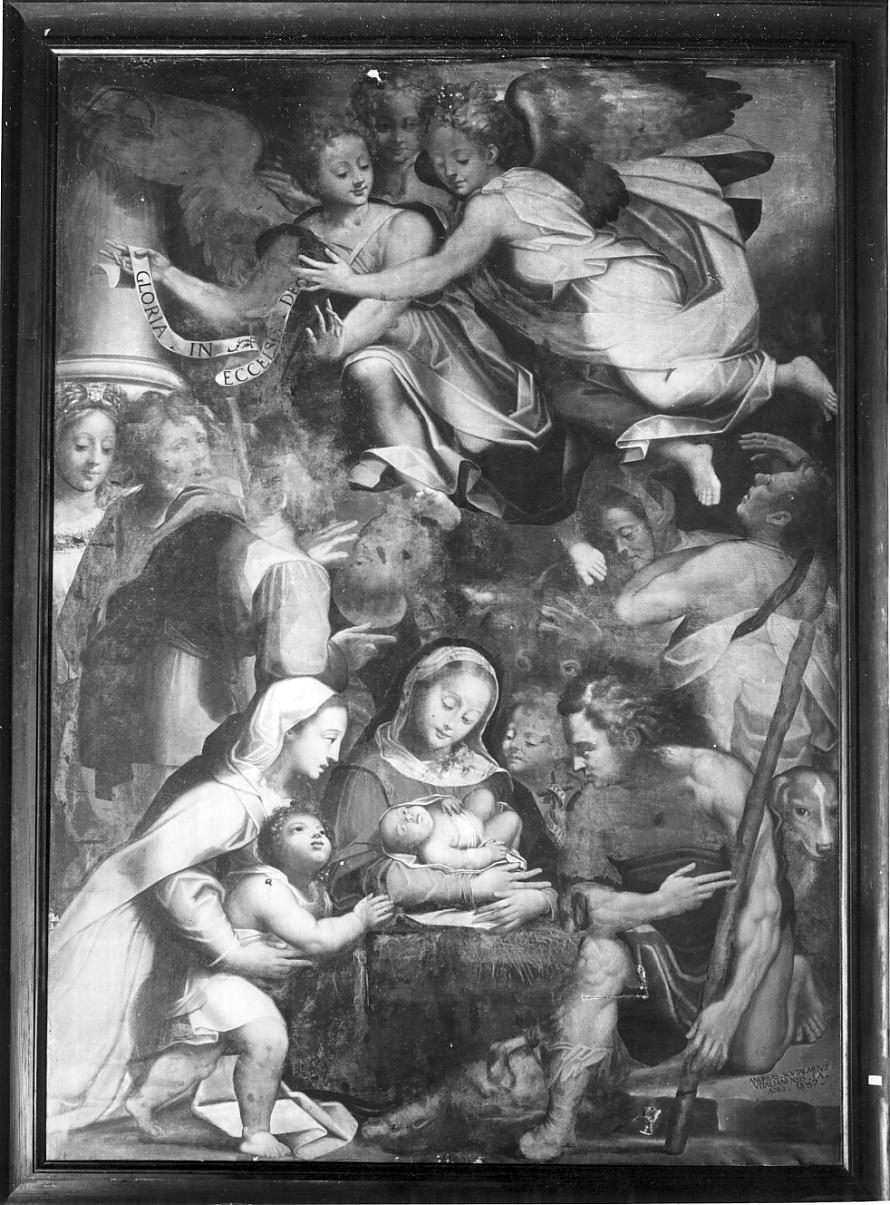 adorazione dei pastori (dipinto, opera isolata) di Scutellari Andrea (seconda metà sec. XVI)