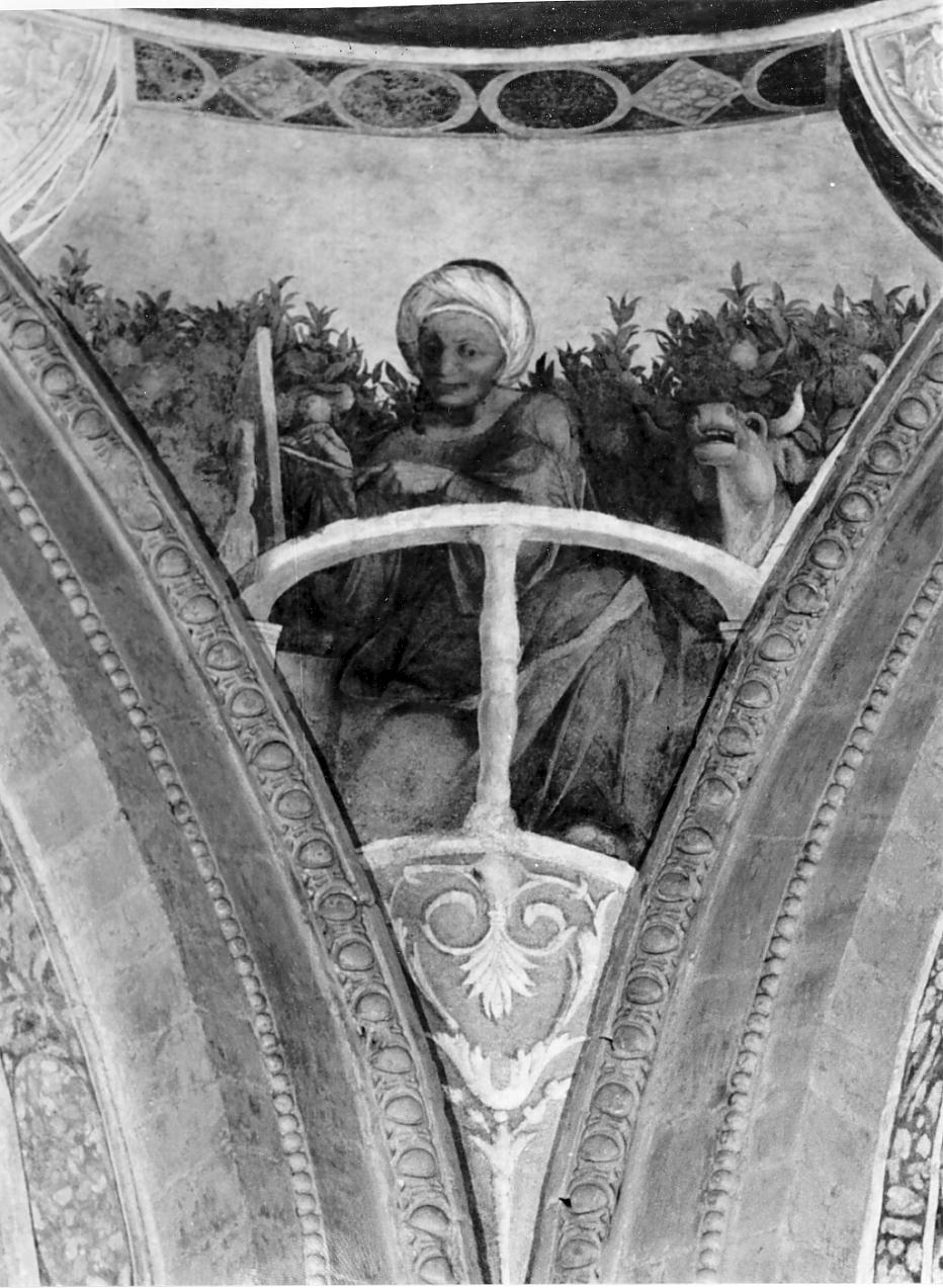 San Luca (decorazione pittorica, elemento d'insieme) di Allegri Antonio detto Correggio (attribuito) (sec. XVI)