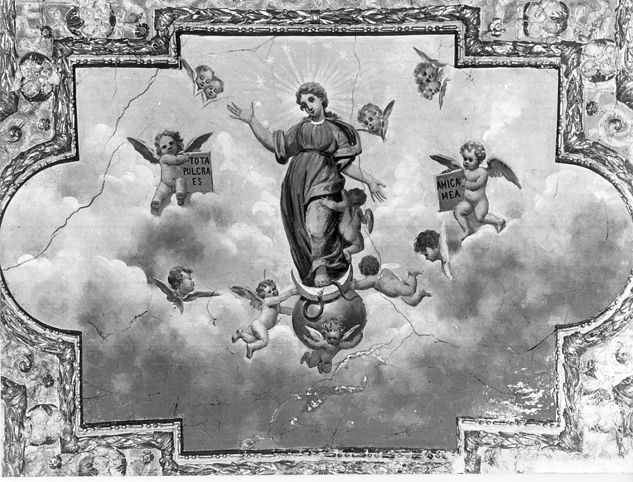 l'Immacolata (dipinto, elemento d'insieme) - ambito italiano (prima metà sec. XVII)