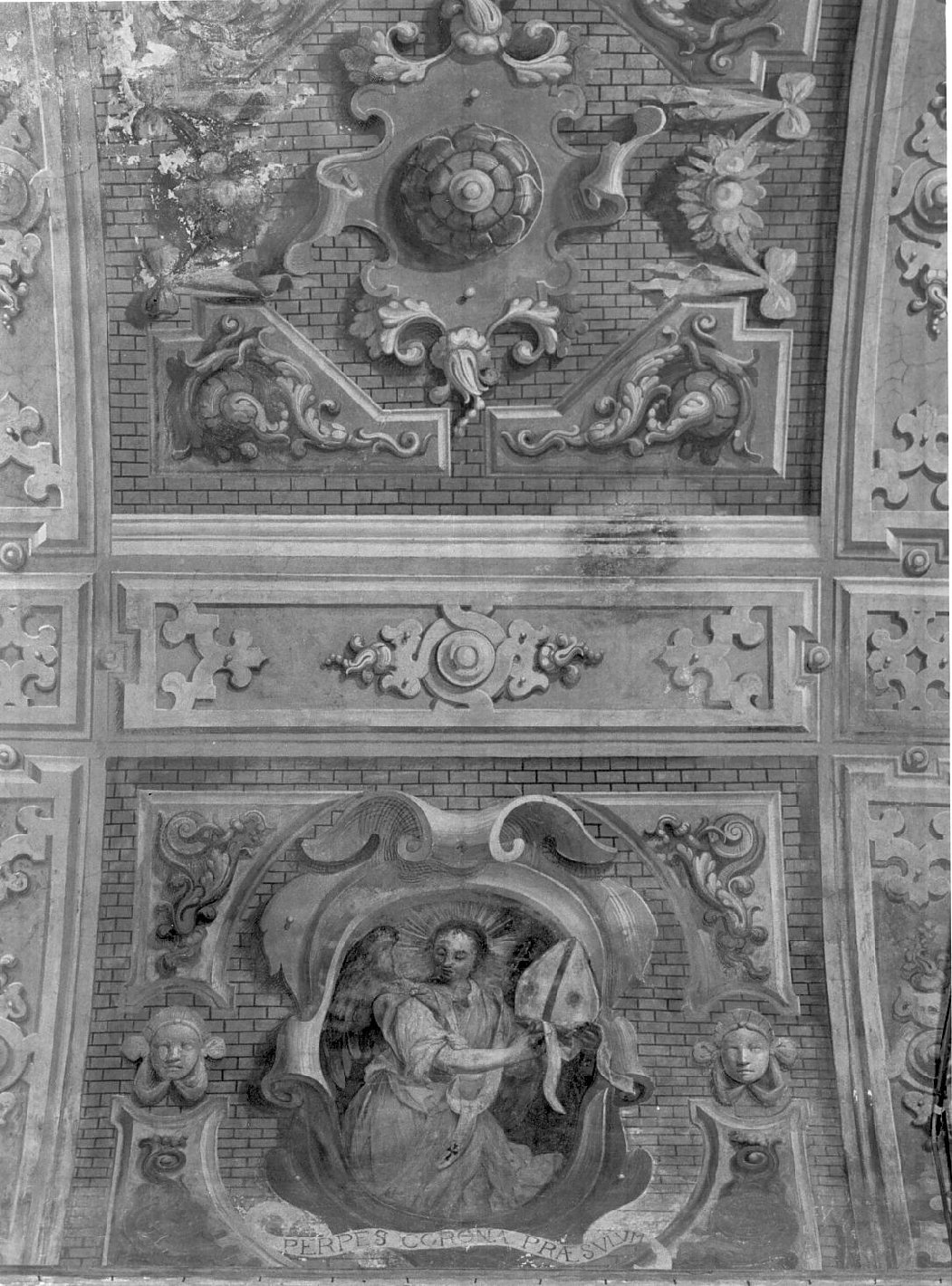 motivi decorativi e angelo (dipinto, elemento d'insieme) di Sandrini Tommaso (attribuito), Gandini Bernardino (attribuito) (sec. XVII)