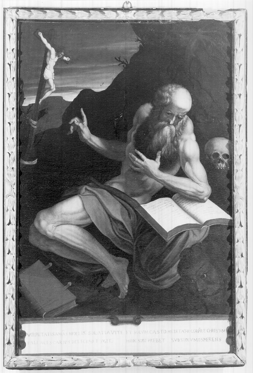 San Girolamo nel deserto (dipinto, opera isolata) di Savi Domenico (attribuito) (metà sec. XVII)