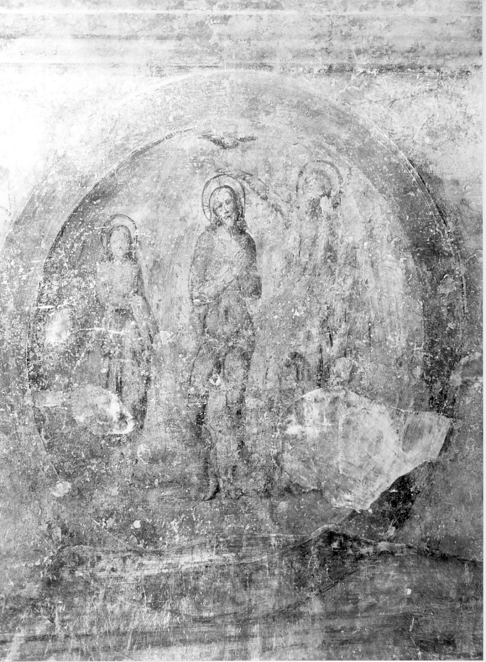 battesimo di Cristo (dipinto, elemento d'insieme) di Romani Girolamo detto Romanino (sec. XVI)