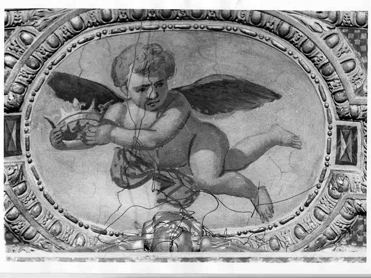 angelo (dipinto, opera isolata) di Cossali Grazio (inizio sec. XVII)