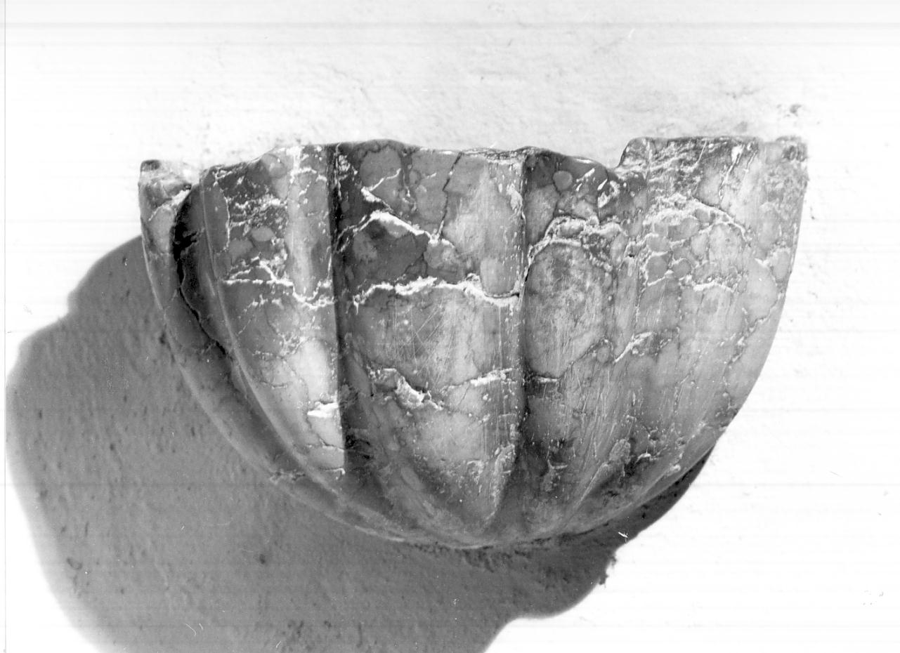 acquasantiera - a conchiglia, opera isolata - bottega veronese (prima metà sec. XVIII)