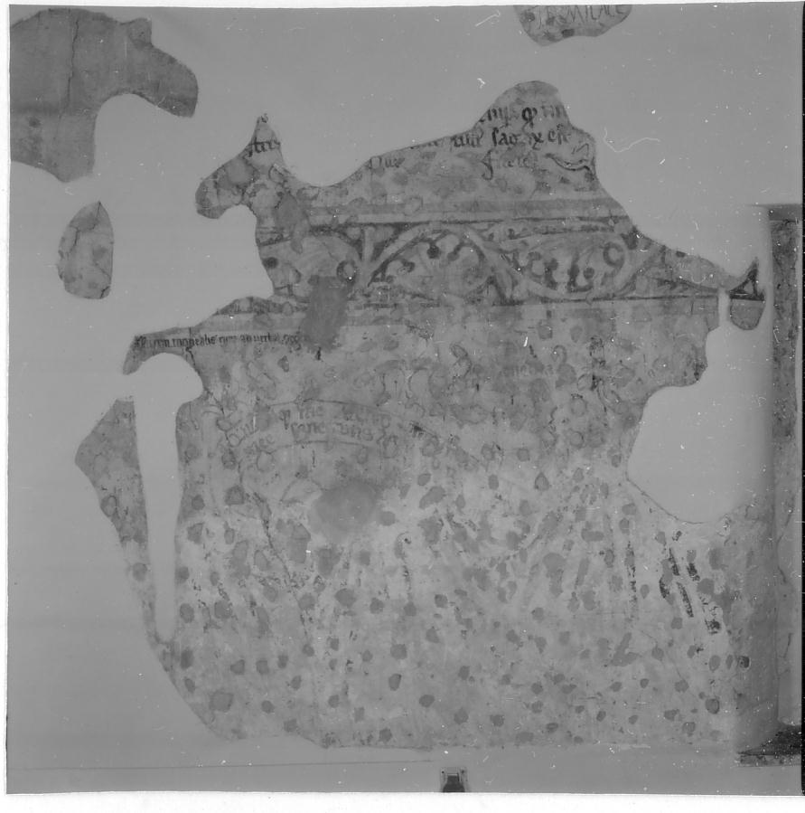 motivi decorativi (dipinto, frammento) - ambito lombardo (sec. XIV)