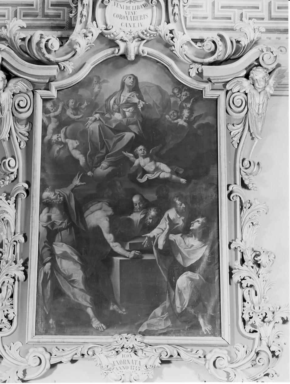 assunzione della Madonna (dipinto, elemento d'insieme) - ambito cremonese (sec. XVIII)