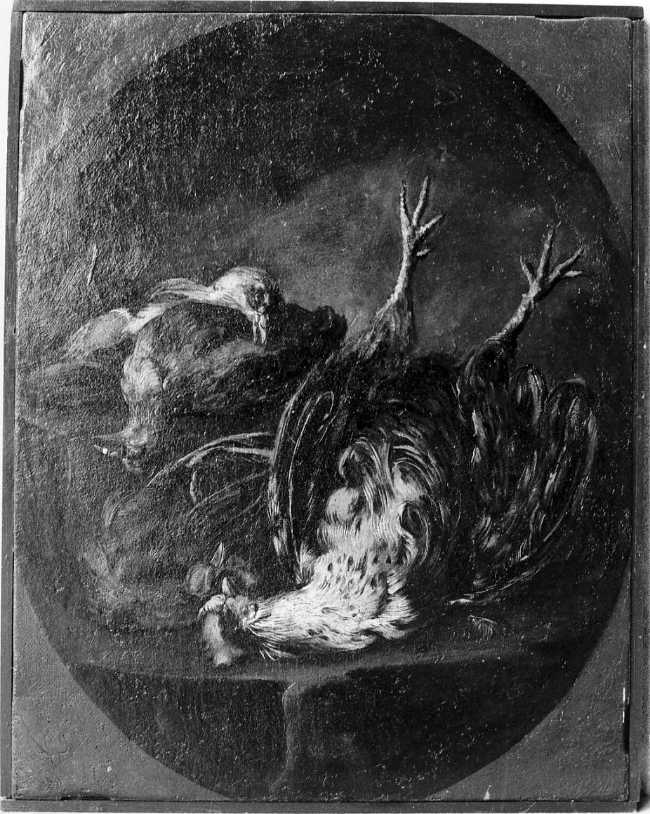 natura morta con cacciagione (dipinto, ciclo) di Crivelli Giovanni detto Crivellino (prima metà sec. XVIII)