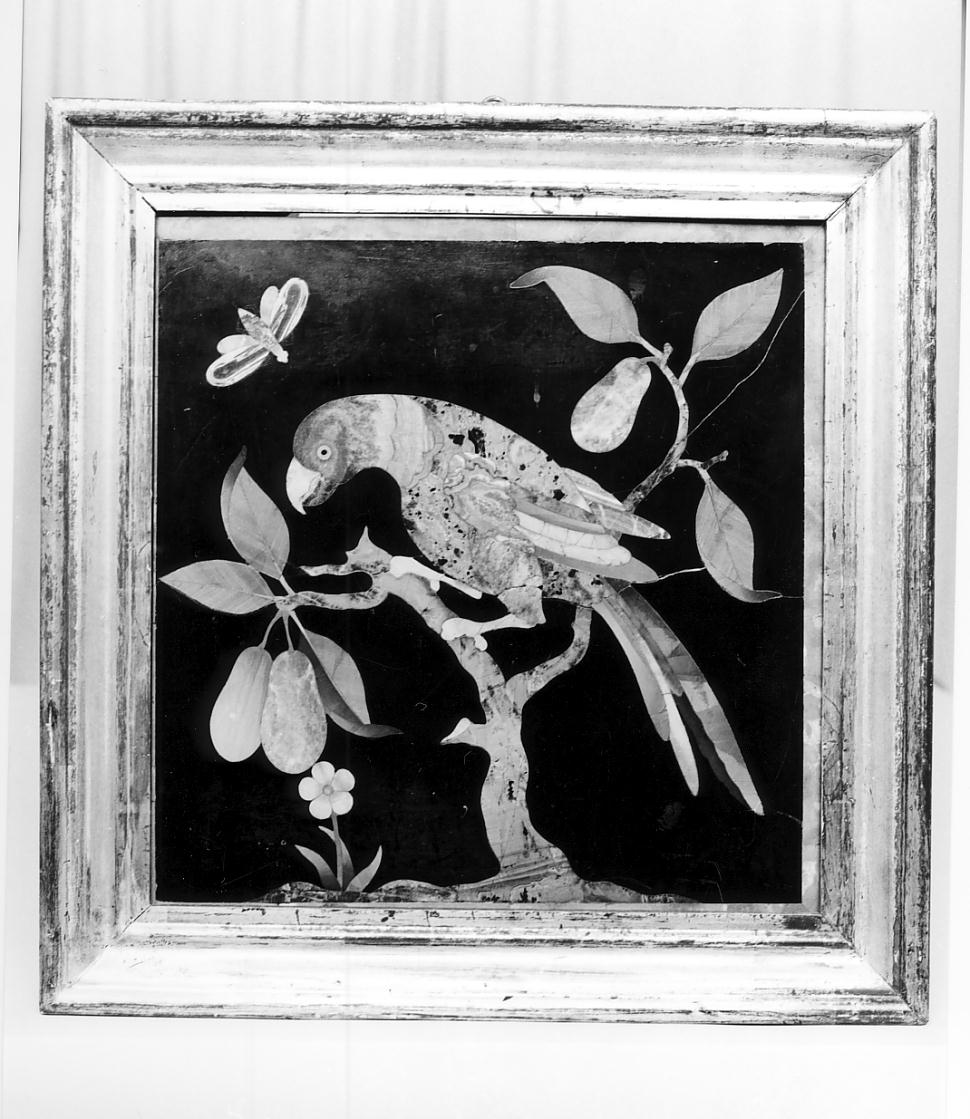 pappagallo su albero di pero (decorazione a intarsio, opera isolata) - produzione lombarda (sec. XVIII)