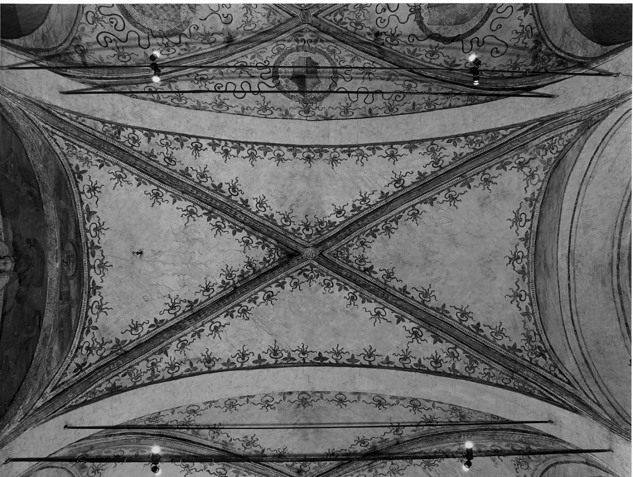 motivo decorativo fitomorfo (decorazione pittorica, elemento d'insieme) - ambito cremonese (sec. XV)