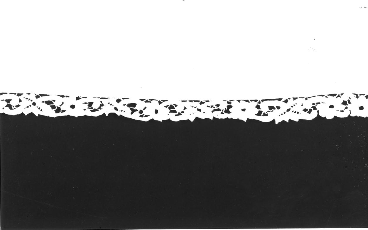 motivi decorativi floreali (tovaglia d'altare, opera isolata) - manifattura cremonese (fine sec. XIX)