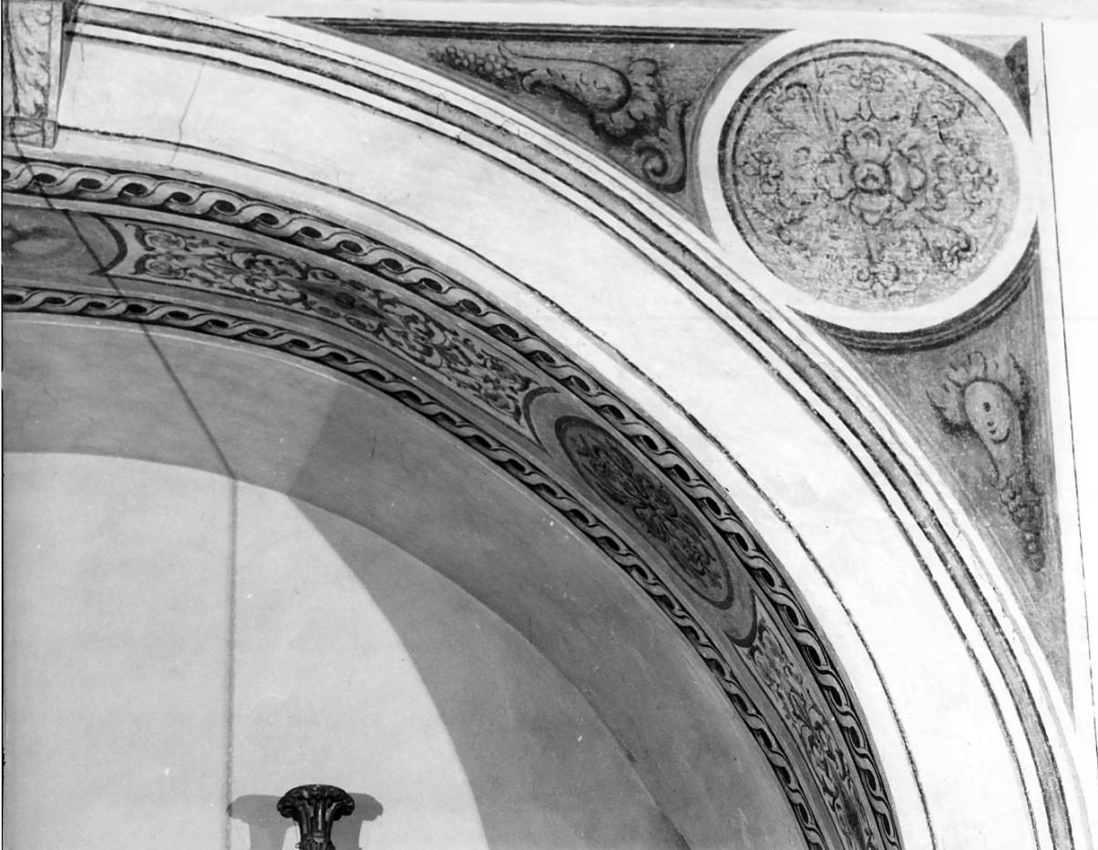 motivi decorativi (pennacchio, insieme) - ambito mantovano (metà sec. XVI)