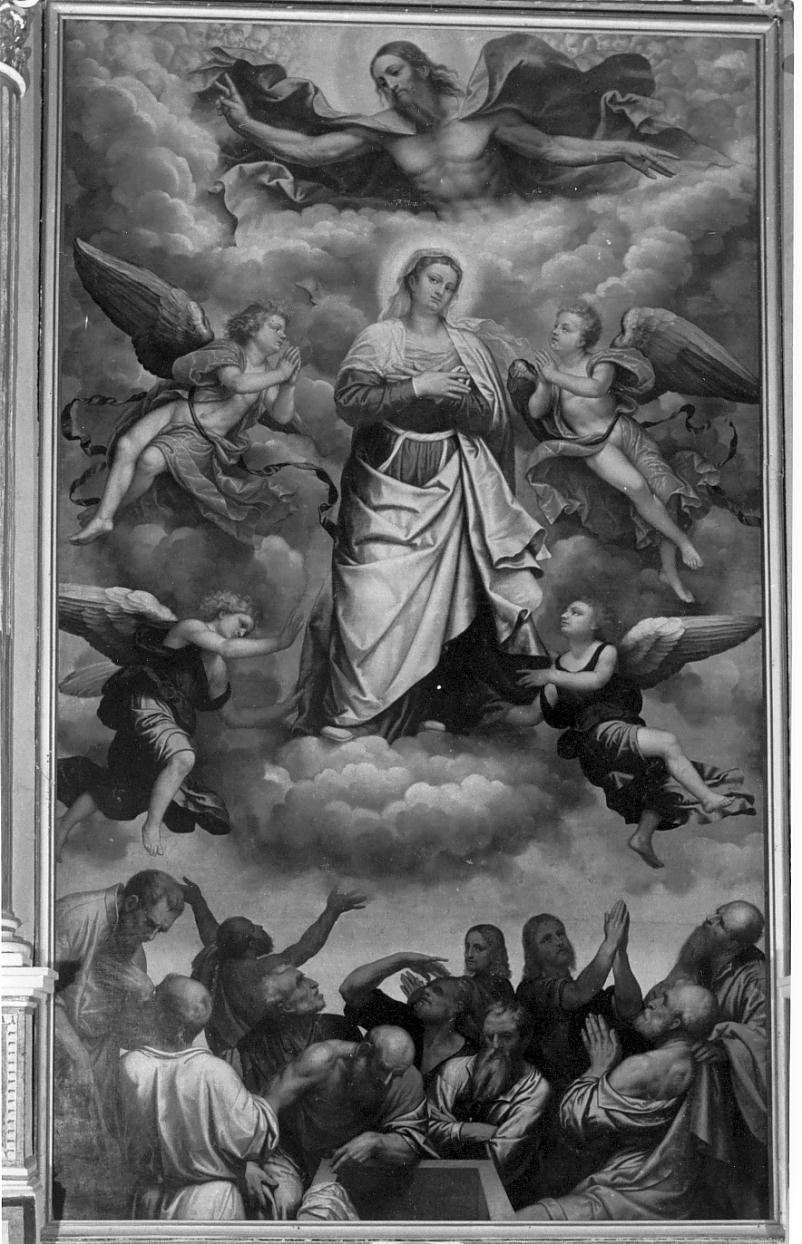 Assunzione di Maria Vergine (dipinto, opera isolata) di Bonvicino Alessandro detto Moretto (sec. XVI)
