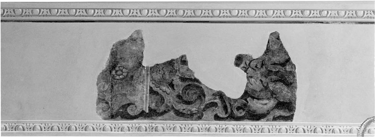 motivi decorativi vegetali (decorazione pittorica, elemento d'insieme) di Rossi Gerolamo, Bagnatori Pietro Maria detto Bagnadore (sec. XVI)