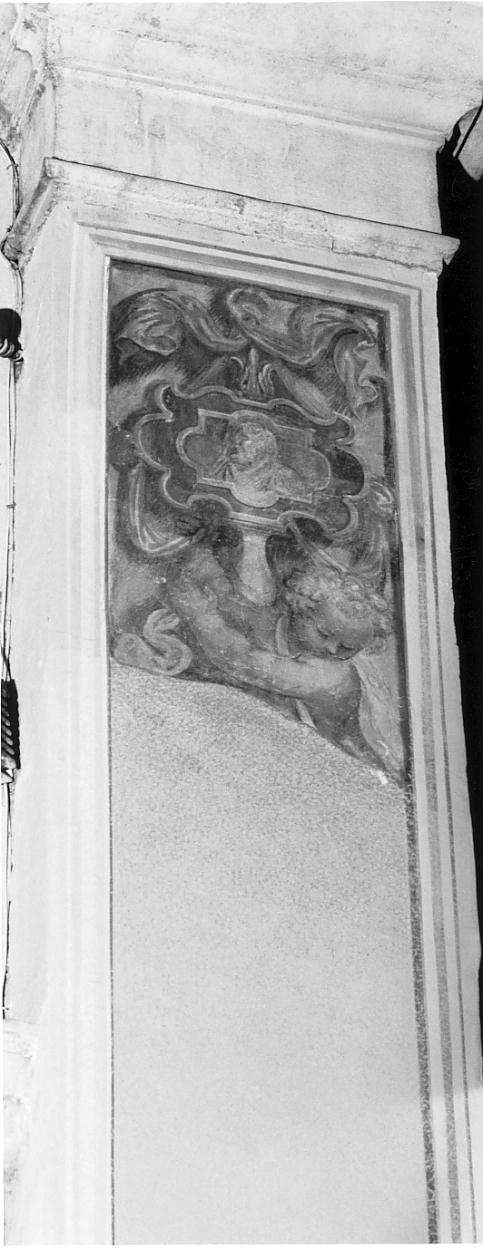 angioletto reggitarga (decorazione pittorica, elemento d'insieme) di Rossi Gerolamo, Bagnatori Pietro Maria detto Bagnadore (sec. XVI)