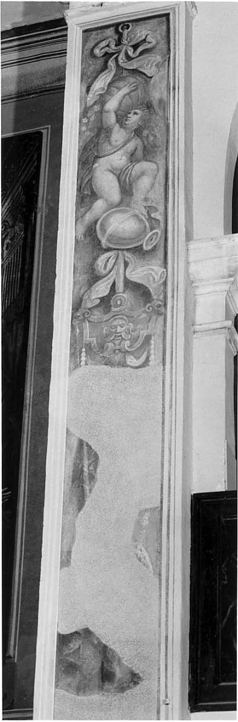 angioletto con zucca e vaso (decorazione pittorica, elemento d'insieme) di Rossi Gerolamo, Bagnatori Pietro Maria detto Bagnadore (sec. XVI)