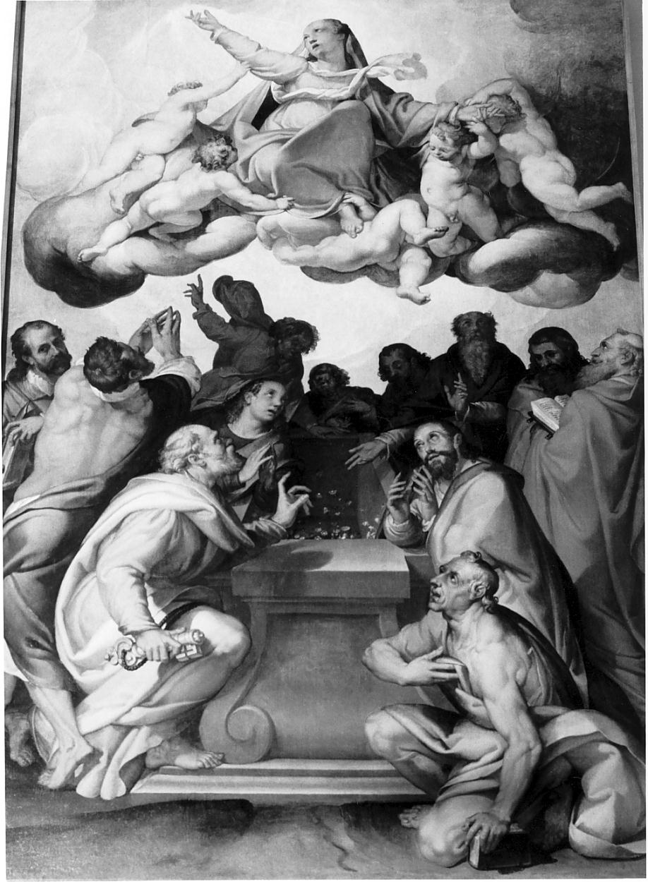 assunzione della Madonna (dipinto, opera isolata) di Passarotti Bartolomeo (sec. XVI)
