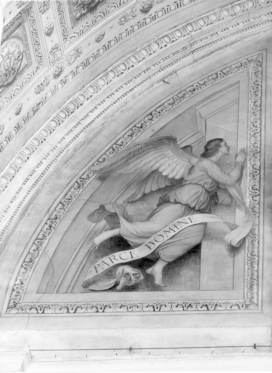 Angelo reggicartiglio (dipinto, elemento d'insieme) di Cresseri Gaetano (sec. XX)