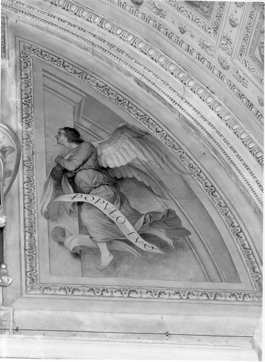 Angelo reggicartiglio (dipinto, elemento d'insieme) di Cresseri Gaetano (sec. XX)